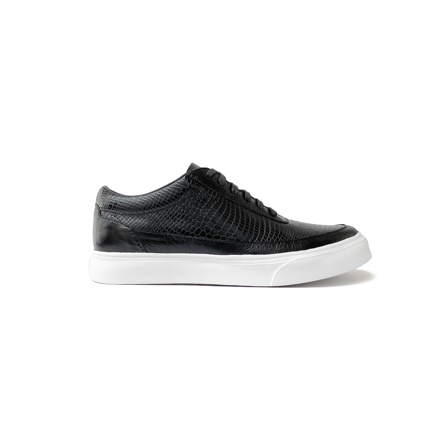 Thomas Negro SB