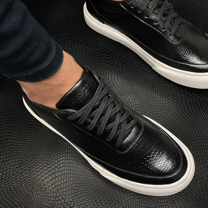 Thomas Negro SB